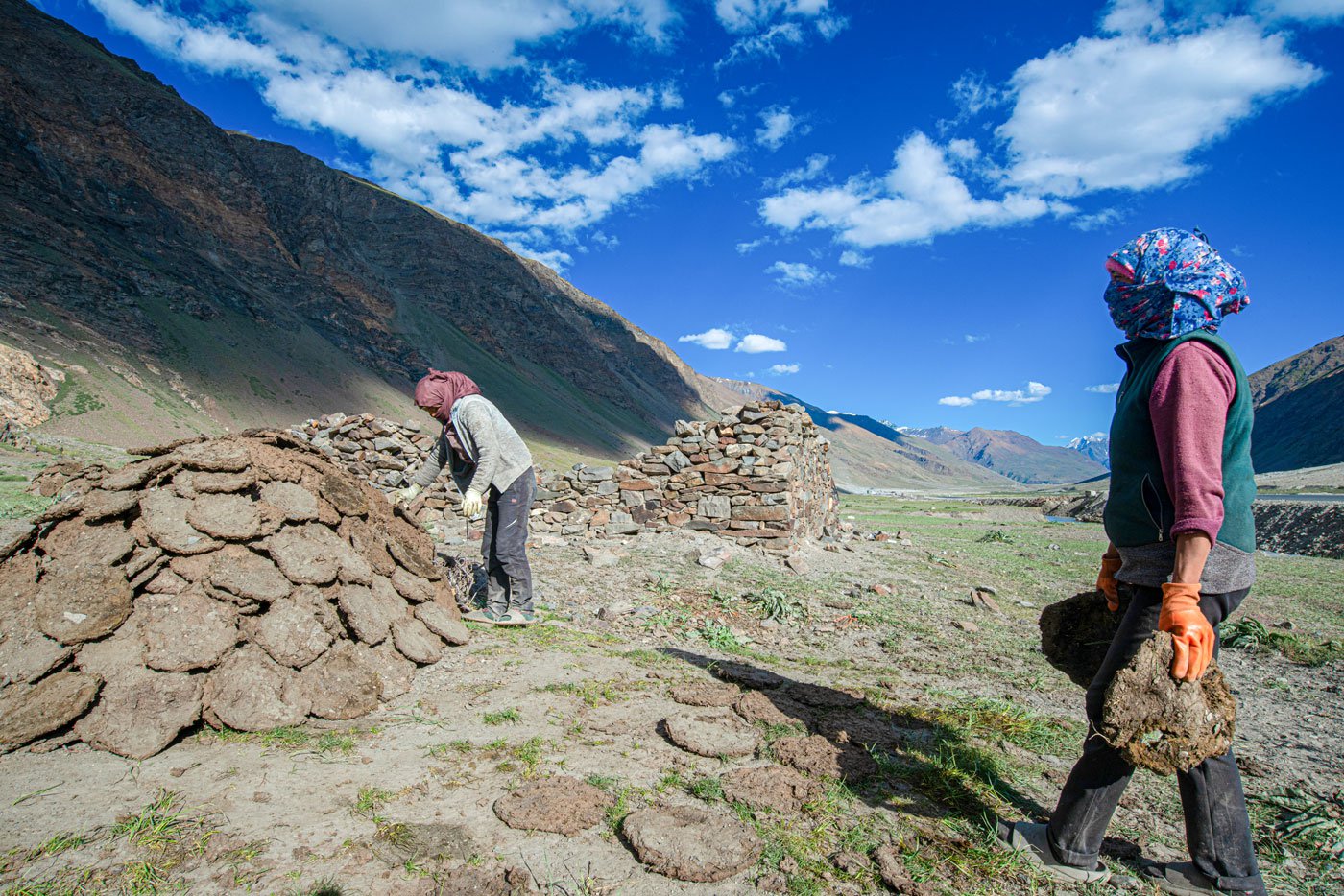 Yak dung is a significant source of fuel for people in Zanskar. It is used as cooking fuel during the winter months