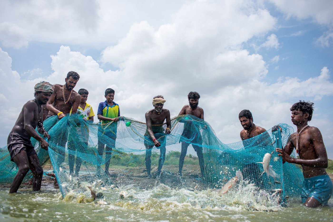 They drag the net towards the shore in the small lake in Kunnathur