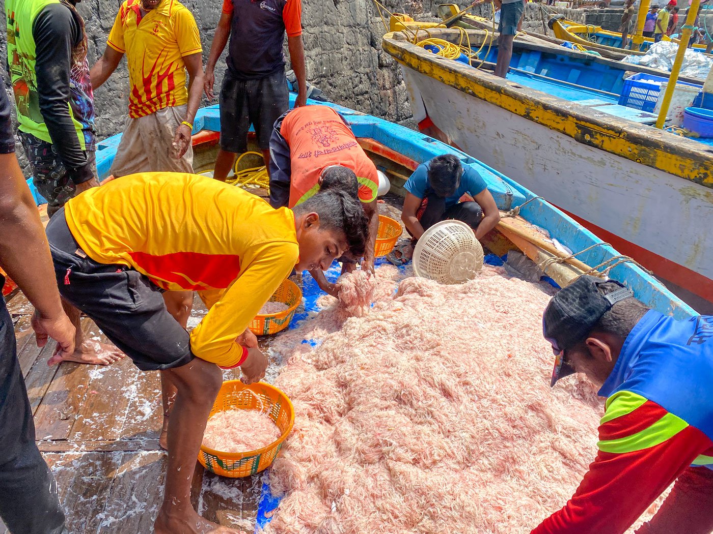 Mumbai fishermen: no shelter from this storm