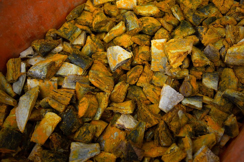 Right: Dry fish is cut and coated with turmeric to preserve it further