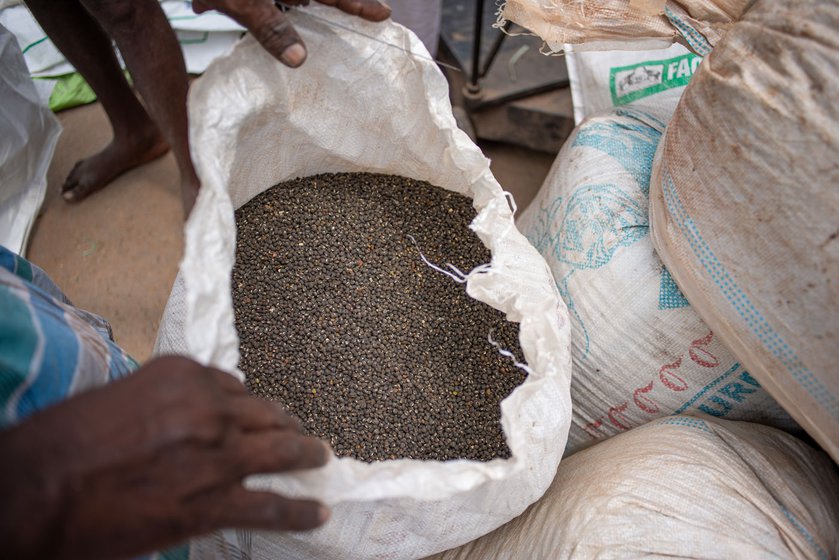 Gandhi market in Trichy, Tamil Nadu where sesame and dals are bought from farmers and sold to dealers