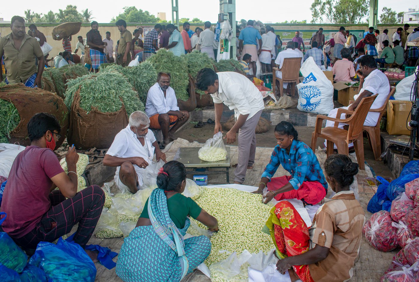 Brisk trade at the Mattuthavani flower market in Madurai