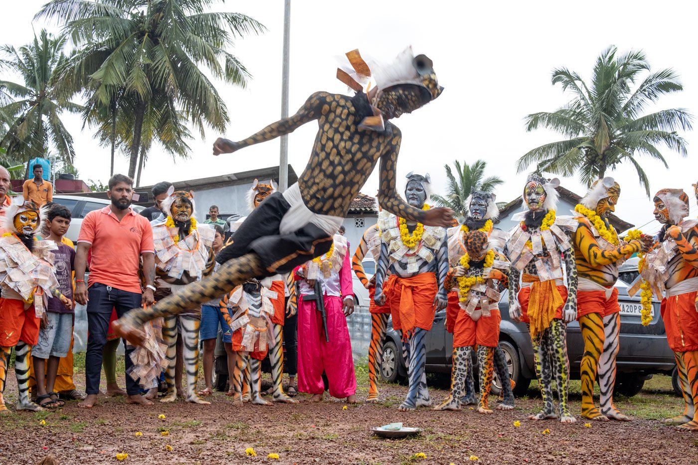 Prajwal Acharya painted as a black tiger shows his stunt skills. The traditional steps in this dance routine have become acrobatic with more emphasis on stunts