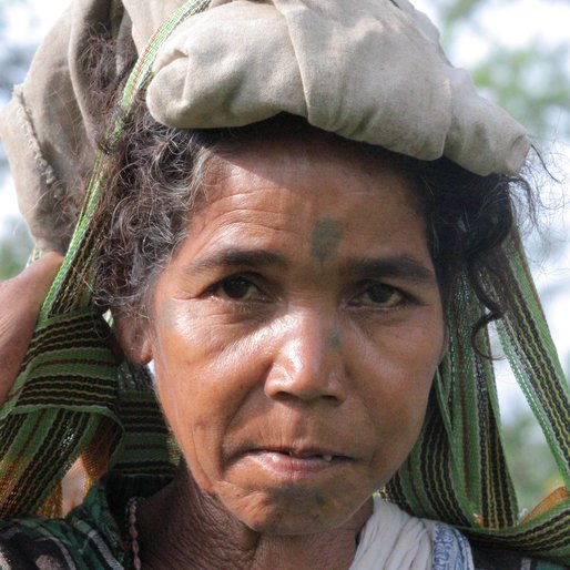TEMI KHARIA is a Tea garden worker from Dholabari, Mal, Jalpaiguri, West Bengal