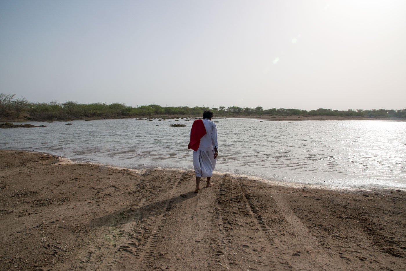 As the low tide settles in the Gulf of Kachchh, Jethabhai gets ready to head back home