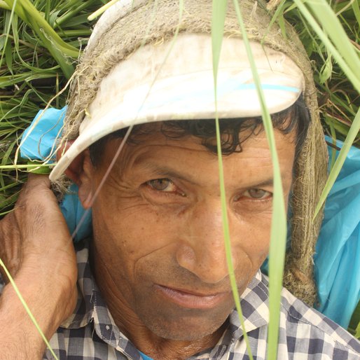 PADAM CHHETRI is a Farmer from Bong Khasmahal, Kalimpong I, Kalimpong, West Bengal