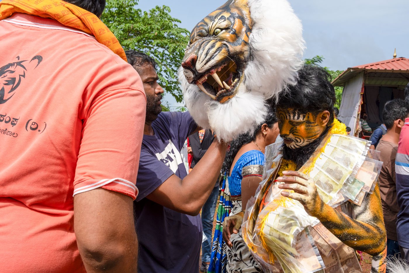 Virendera Shettigar puts on the tiger mask. The one who wears the mask is usually the prime tiger of the group