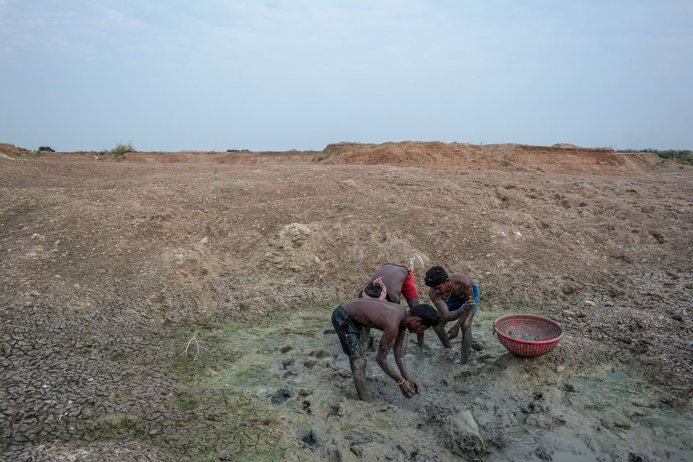 Even as water dries up in Kodikulam, this small lake still has some fish