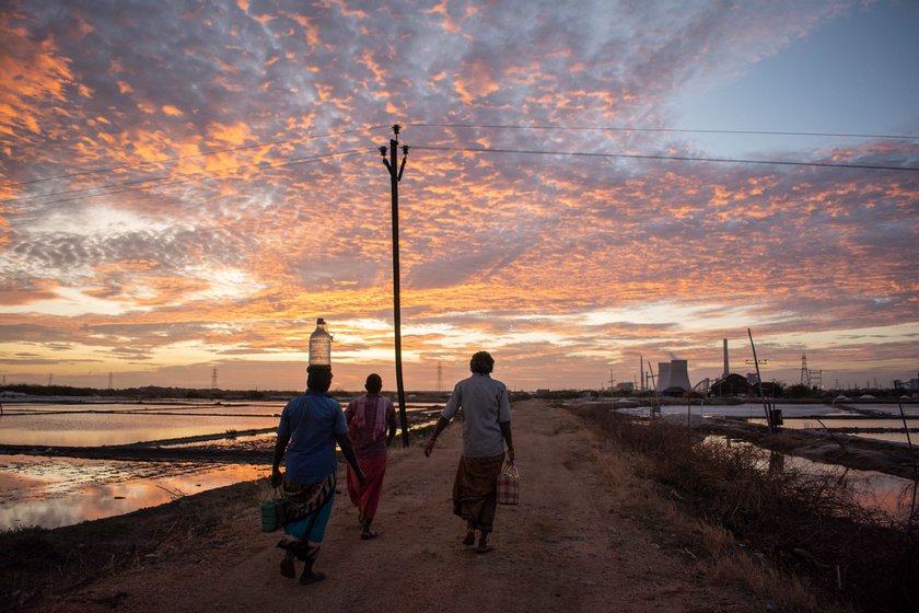 At dawn, Thoothukudi's salt pan workers walk to their workplace, and get ready for the long hard hours ahead (Rani is on the extreme right in a brown shirt)