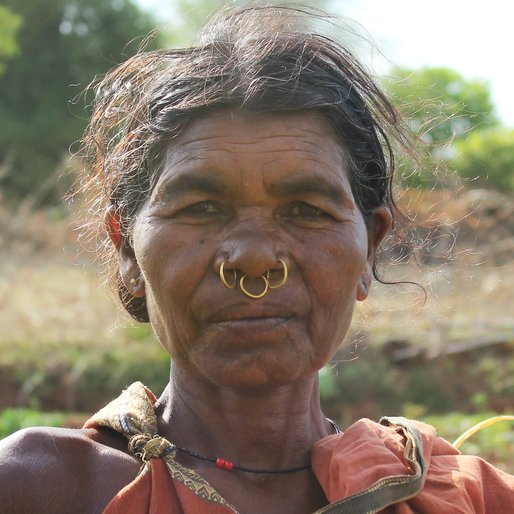 HIRA MANI is a Farmer from Dadhiapadar, Boipariguda, Koraput, Odisha