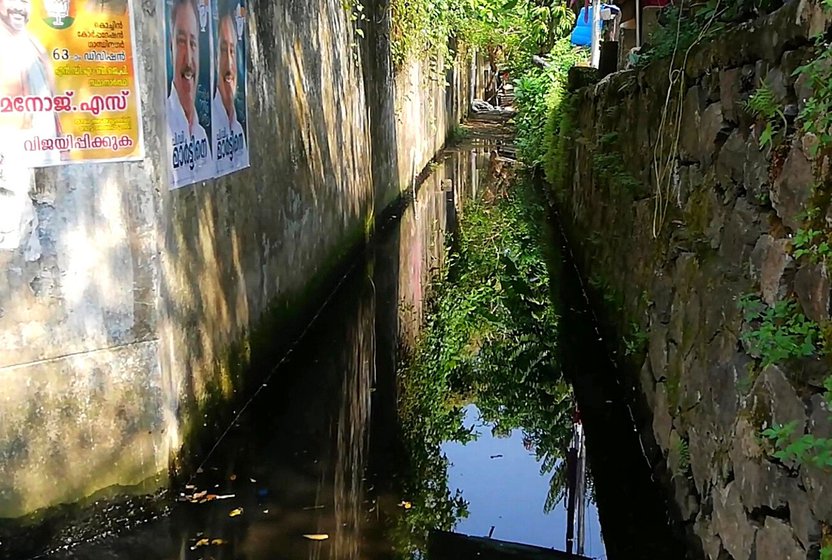 Left: during high tide, the canal overflows. Right: Invasive weeds grows in the stagnant water, where mosquitoes, files, snakes and rats proliferate