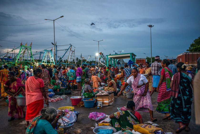 Right: The Cuddalore fish market is crowded early in the morning