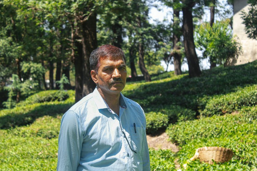 Right: Jaswant Bahman owns a garden in Tanda village and recalls a time when the local market was flourishing