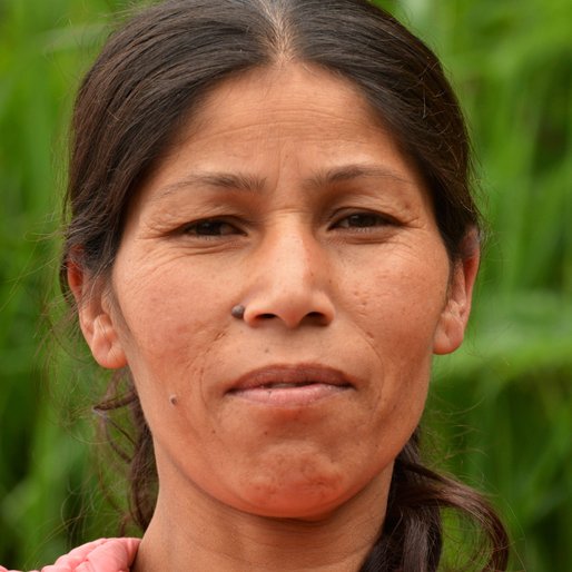 MAMTA BIKE is a Homemaker from Jore Bunglow, Jorebunglow Sukiapokhri, Darjeeling, West Bengal