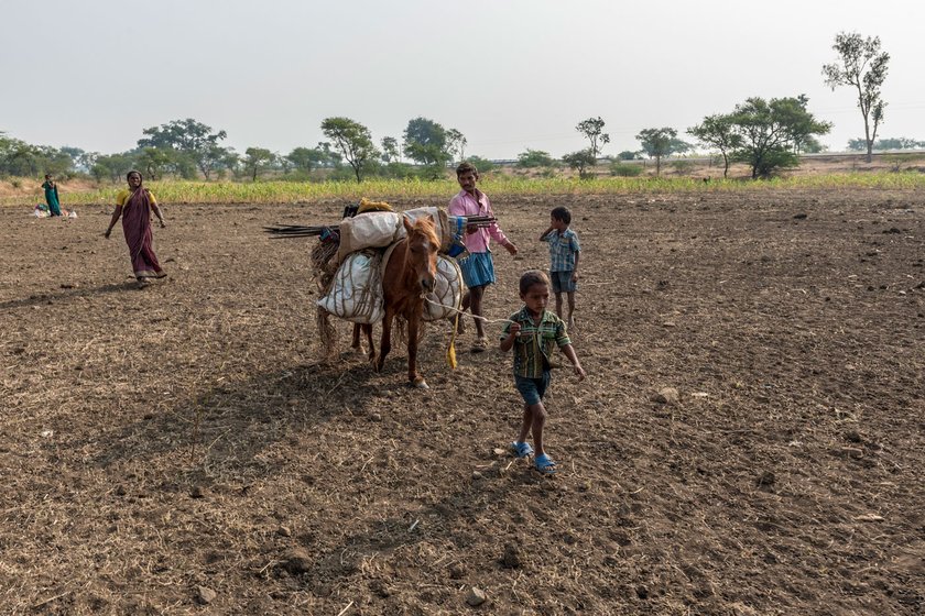 Left: Young Vijay and Nagaraju accompanying their horse (the animals are used for carrying heavier loads), along with their father Neelappa Chachdi. Right: Setting up home in a new settlement after days on the road is an important task. Children chip in too. Vijay is only five, but pitches in readily