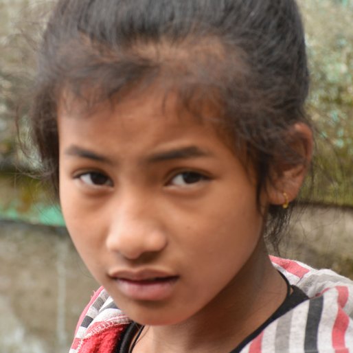 TIPISHA TAMANG is a Student from Jore Bunglow, Jorebunglow Sukiapokhri, Darjeeling, West Bengal