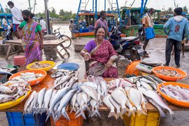 मर्दों की दुनिया में अपने दम पर व्यापार खड़ा करने वाली मछुआरिन की कहानी