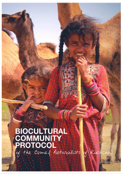 Biocultural Community Protocol of the Camel Pastoralists of Kachchh