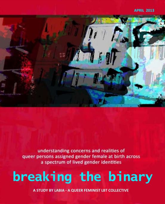 Breaking the Binary: Understanding Concerns and Realities of Queer Persons assigned Gender Female at Birth across a spectrum of lived gender identities