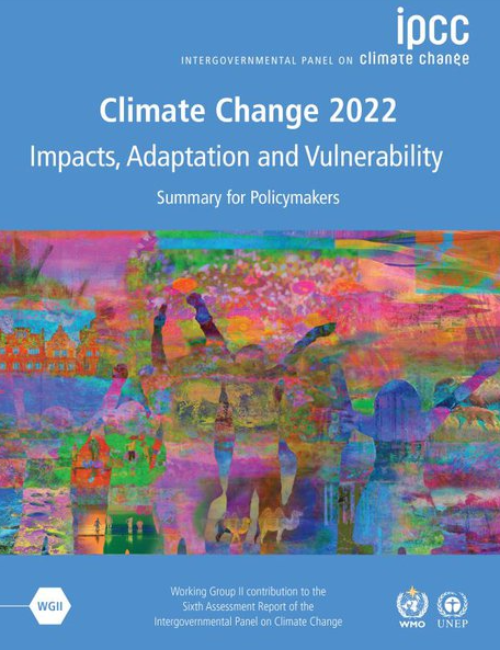 Climate Change 2022: Impacts, Adaptation and Vulnerability