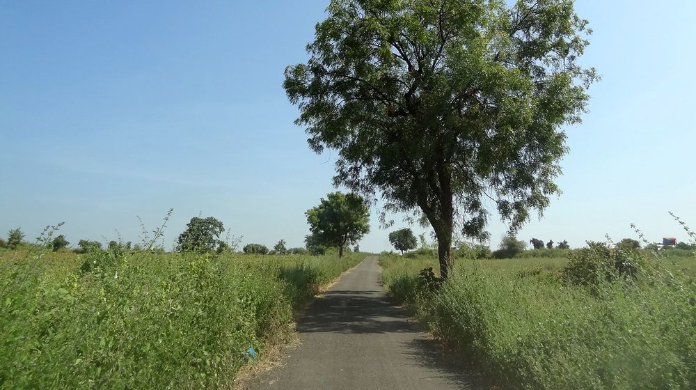 The road between Loni and Sarati where T1 was sighted many times by villagers. 