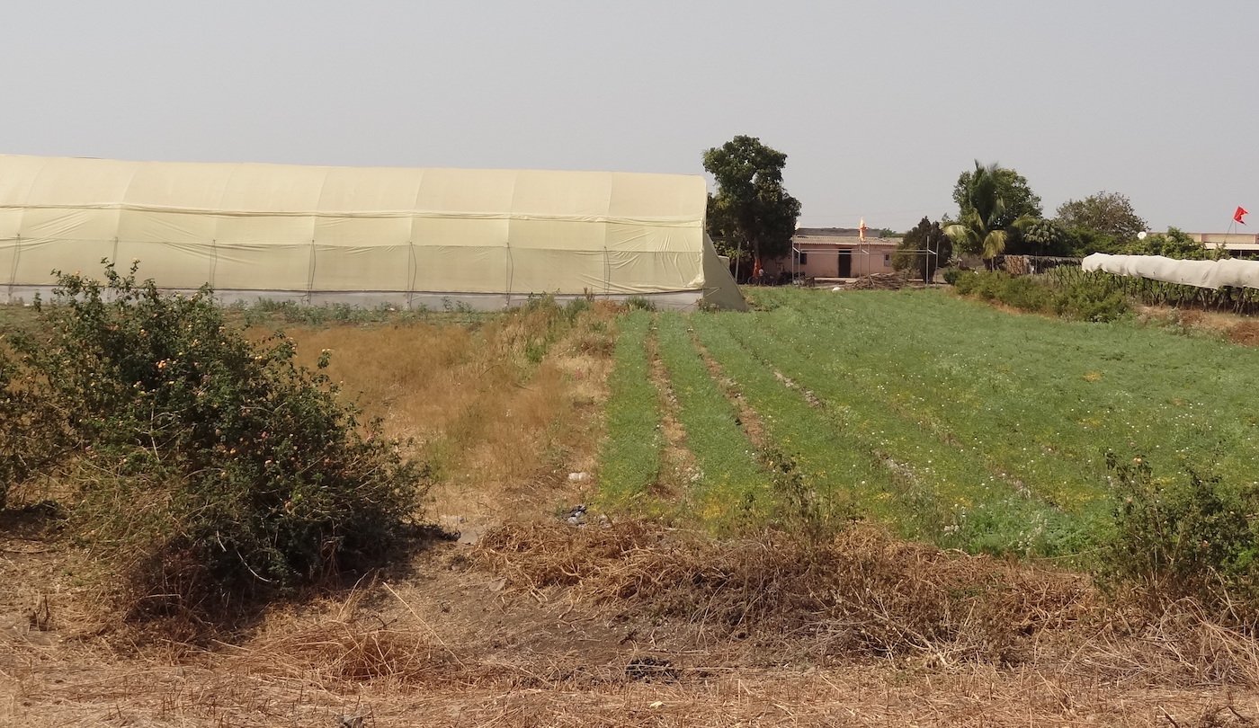 A decade ago, the state and banks began promoting shade-nets and poly-houses in dry areas. After initial profits, farmers ran into bad weather
