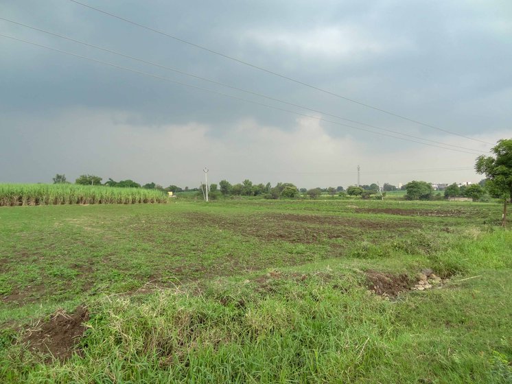 Fields damaged after extreme rains in July and mid-August in Shelgaon village in Nanded.