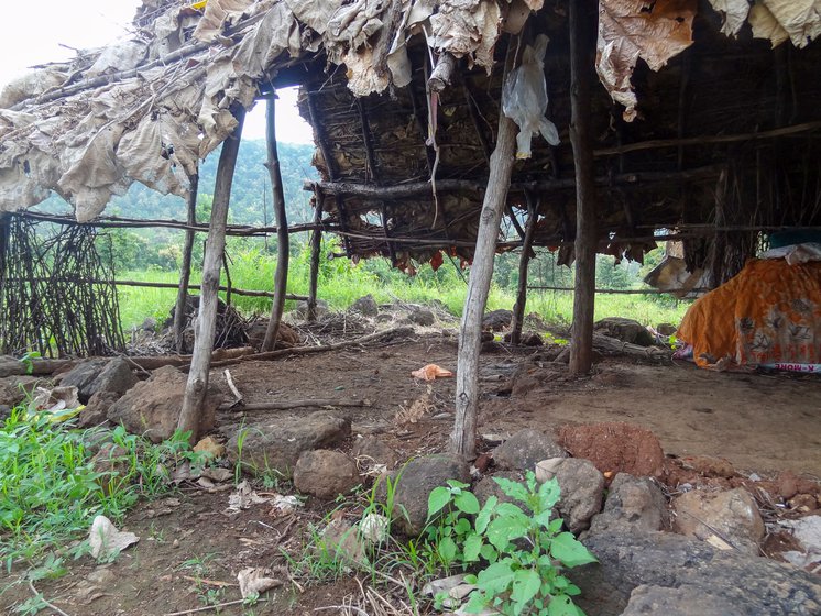 The small thatched canopy that Champat had built for himself on his farm looks deserted