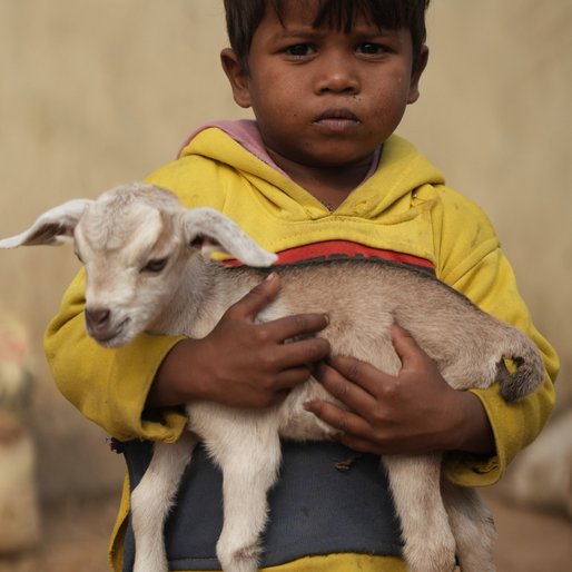 Raushan Kumar is a Does not go to school from Naya Tola Madhopur, Bakhtiarpur, Patna, Bihar