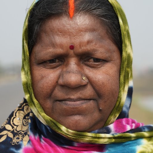 Jamamti Devi is a Homemaker and farm labourer from Belchhi, Belchhi, Patna, Bihar