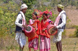 बैगा आदिवासींचा दसहरा नाच