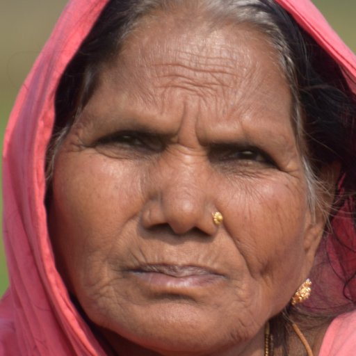 Sakhiya Devi is a Helps her son on the farm from Jahangirpur, Gaighat, Muzaffarpur, Bihar