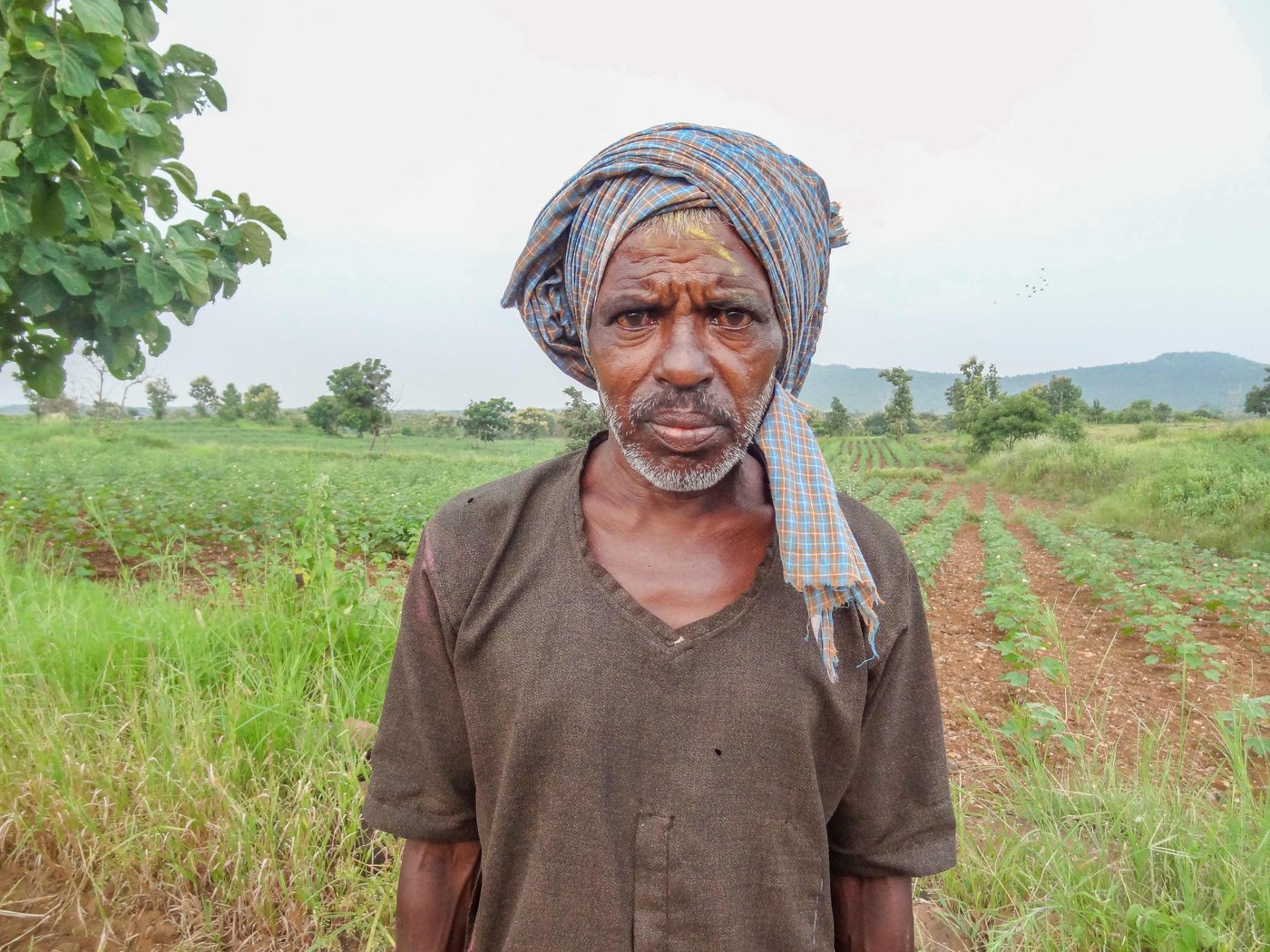 Ramdas Jangle has been tending to his farm and that of his nephew Champat’s after the latter’s death