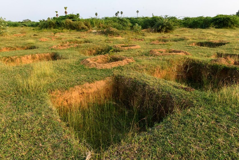 'Where are the jobs for women?' asked S. Sumathi; here she is standing at water absorption pits dug on a dried lake bed, and a few tree saplings planted as part of MGNREGA water conservation projects in Cherukkanur panchayat