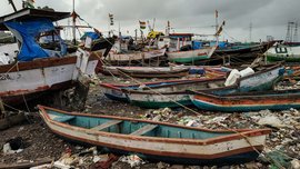 उपनगरीय मुंबई: पॉम्फ्रेट मछलियों की संख्या ने लगाई गहरी डुबकी