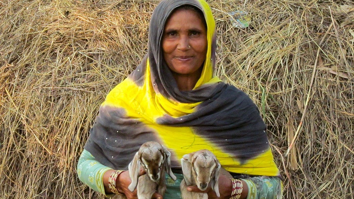 Woman standing with goat kids in hand