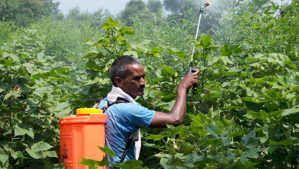 Man spraying pesticide on crops