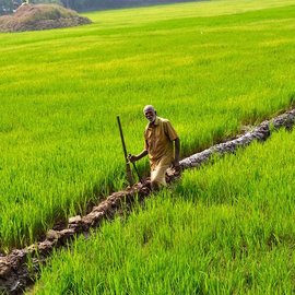 man standing in field