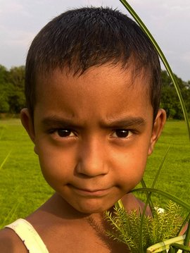 ANINDITA CHAKRABORTY
