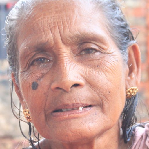 Haribala Das is a Homemaker from Deulpur (Census town) , Panchla, Howrah, West Bengal