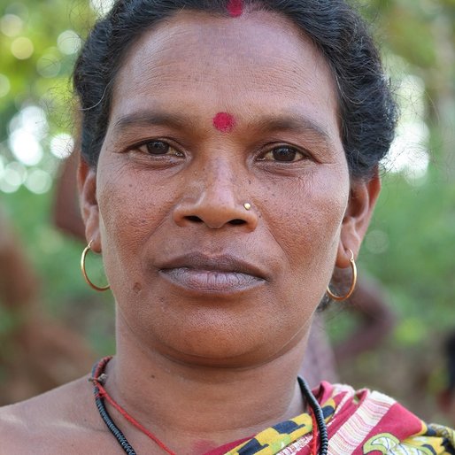 Hisimoni Majhi is a Farmer from Baizapada, Harichandanpur, Kendujhar, Odisha