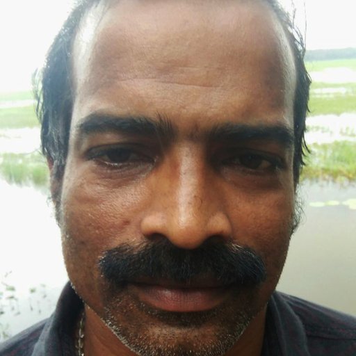 SURESHKUMAR P.A. is a Paddy Cultivator from Punnayurkulam, Chavakkad, Thrissur, Kerala