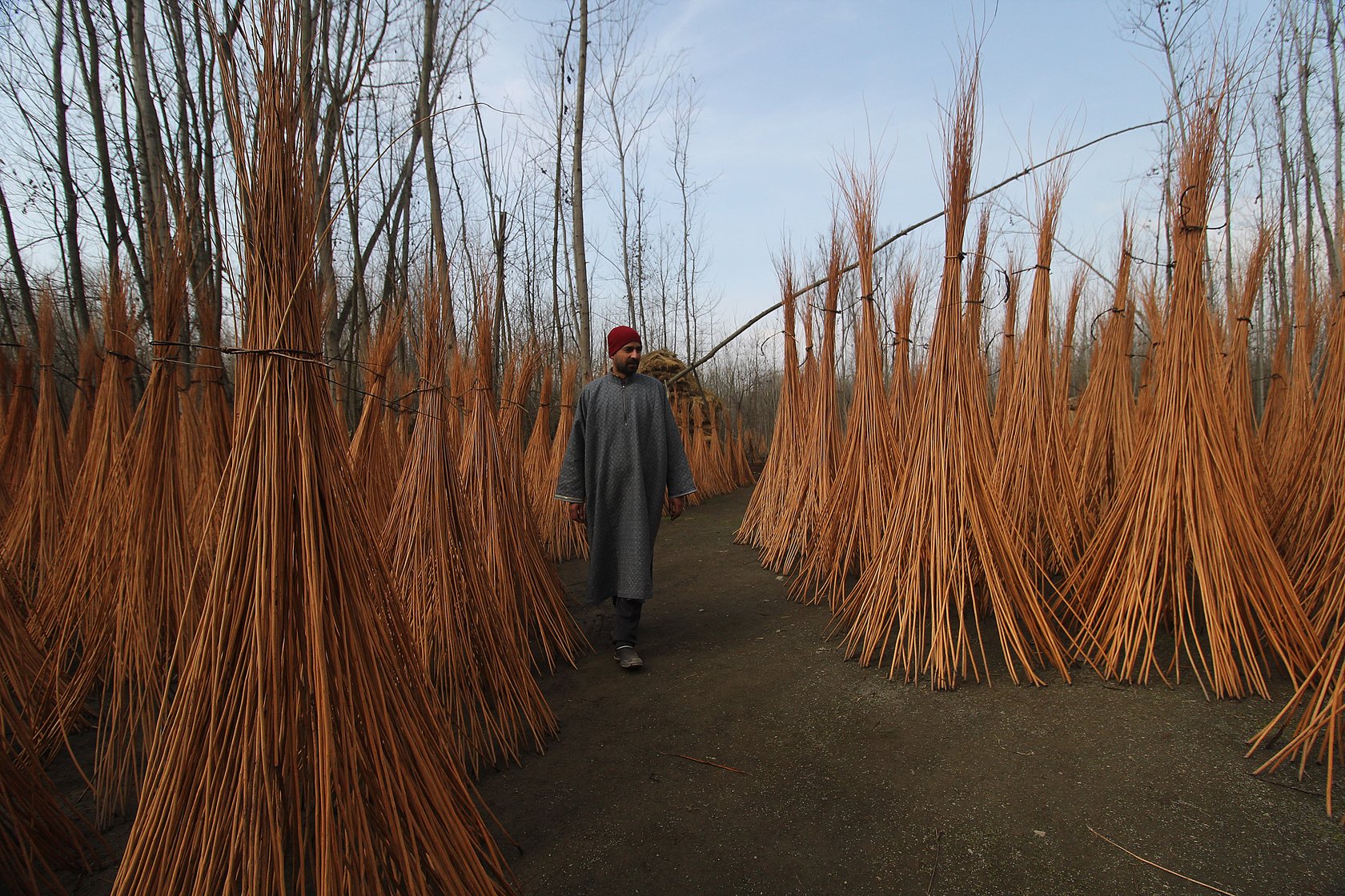 Farooq Ahmad Wani, 32, a resident of the Umerhere area in Ganderbal district of central Kashmir, works as a contractor; he purchases raw wicker from farmers and processes it into the final product for sale to kangri makers