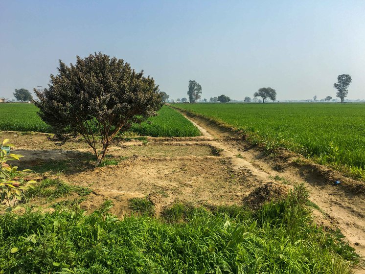 Sonia (left) and her family give their share of land in Petwar village (right) to their relatives on rent. They mainly grow wheat and rice there