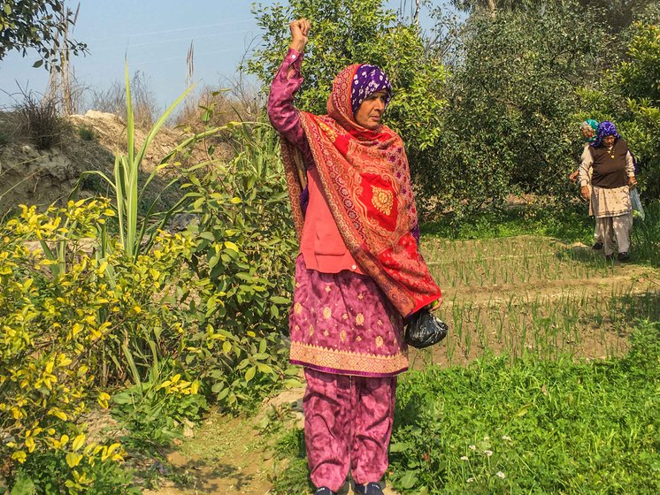 Left: Vidya Devi does not farm anymore, but supports the farmers' protests. Right: Shanti Devi started working on her family's land when she was 20 years old