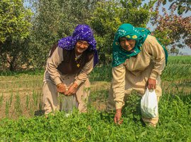 किसान आंदोलन को मज़बूती देतीं पेटवाड़ की औरतें