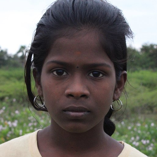 Sanjana is a Student (Class 6) from Seeyamangalam, Vandavasi, Tiruvannamalai, Tamil Nadu
