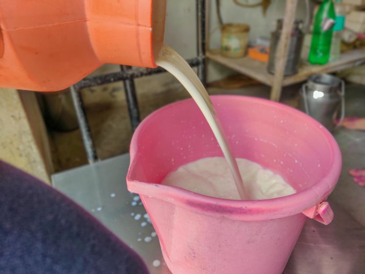 Milk production used to be a convenient side business for sugarcane farmers like Arun Jadhav.
