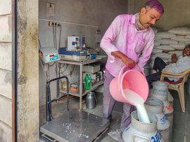 Sangli farmers: milked by private players