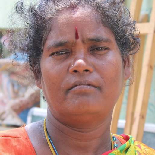 Meena is a MGNREGA worker from Manavoor, Tiruttani, Thiruvallur, Tamil Nadu